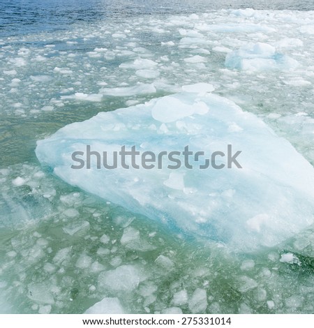 Iceberg in lake, Grey Glacier, Grey Lake, Torres del Paine National Park, Patagonia, Chile