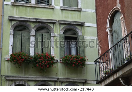 Low angle view of flowers on a window ledge, Venice, Italy,