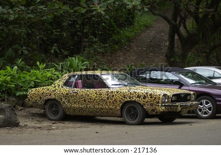 Leopard spotted car in a parking lot, Kauai Island, Hawaii