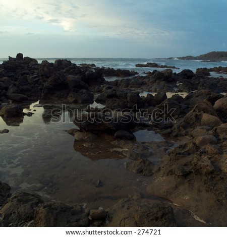 Close-up of a rocky beach, Molokai, Kauai, Hawaii,