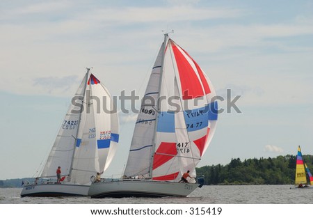 Sailing boats sailing in a lake,