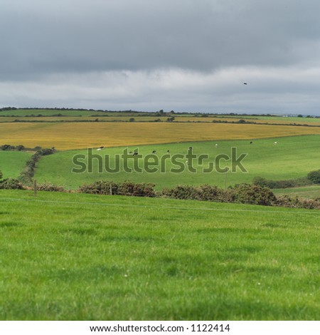 Ireland - countryside farmland