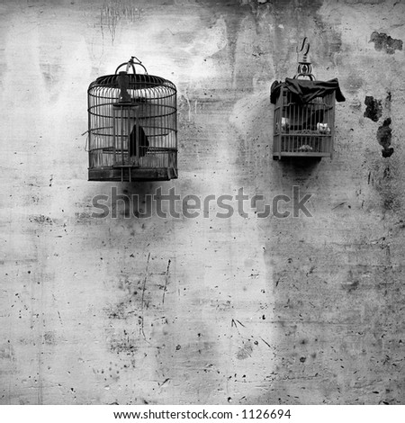 Photographs of bird cages in Mainland China