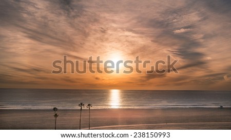 Sunset on Beach with Pacific Ocean View on West Coast in Santa Monica with Palm Trees and Sand in California