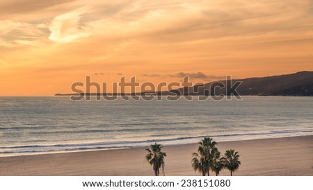 Sunset on Sandy Beach with Pacific Ocean Waves on West Coast in Santa Monica California Vacation - Landscape of Water, Palm Trees, Sand, and Mountain