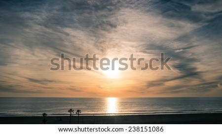 Sunset on Beach with Horizon Line - Pacific Ocean Waves on West Coast in Santa Monica California with Silhouette of Palm Trees and Sand