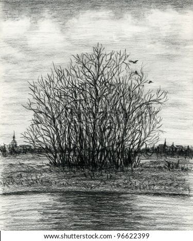 Late autumn melancholy landscape. Group of trees at the lake coast. Charcoal pencil.