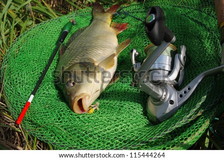 Fish carp with bobber, rod and reel in fish net