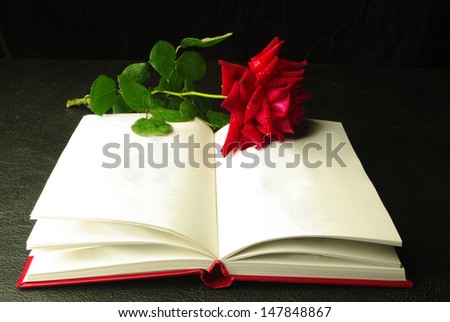 Open book and red rose