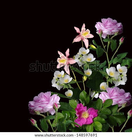 Spring flowers on black background. Roses, wild rose, lily of valley, jasmine, columbine flowers