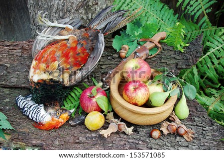 Hunting still life with caught pheasant