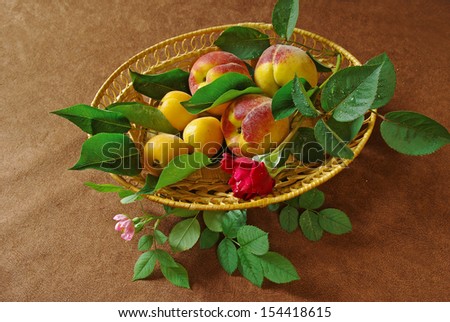 Branch of peach, red rose in the basket