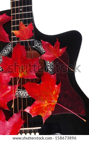 Western guitar and red maple leaves