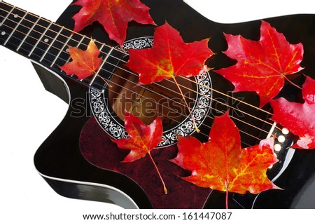 Western guitar and red maple leaves