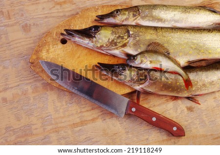 Three Pikes and Perch in the kitchen board. Raw fish preparation to baking
