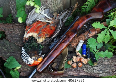 Hunting still life Pheasant and  gun