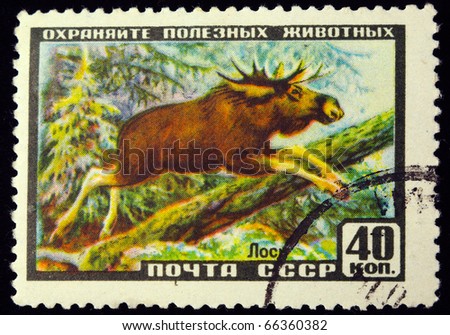 USSR Ã¢Â?Â? CIRCA 1961: A stamp printed in USSR shows  elk,series animals, circa 1961