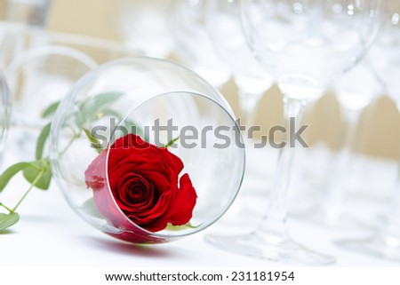 Red Rose in Wine Goblet. Beautiful wedding decoration