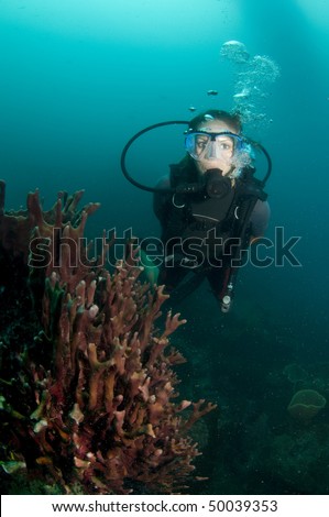 young female scuba diver swims over reef
