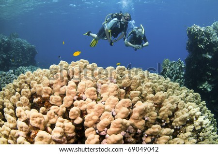man and woman scuba dive together on amazing coral reef