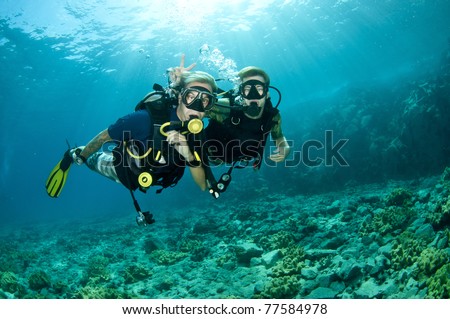 scuba divers enjoy a scuba dive