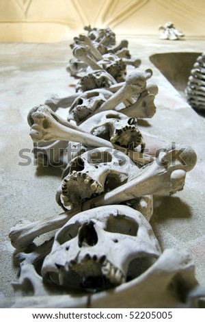 Kutna Hora, Kostnice - Bone Church, Scary Human Skulls and Bones as Decoration