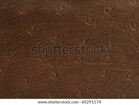 High Quality Sample of Animal Skin Ostrich Leather