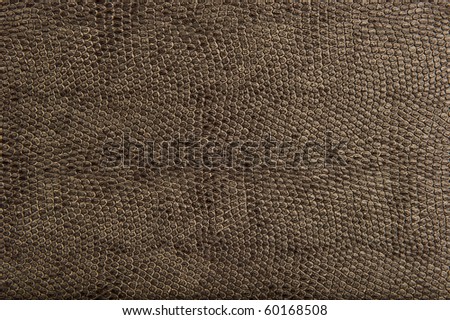 High Quality Animal Reptile Skin Patten and Texture