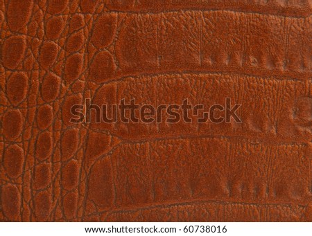 High Quality Reptile Leather Skin Material Texture and  Pattern