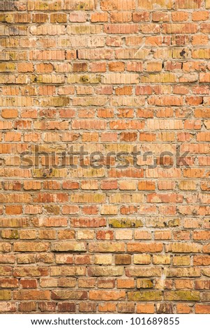 Brick wall vertical