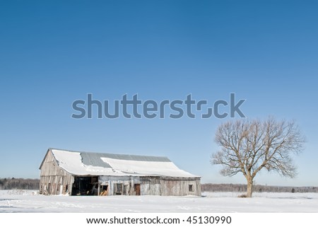 Collapsing old barn during alone in the winter