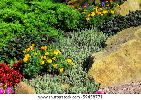 Beautiful landscape design: colourful flowers and a stone
