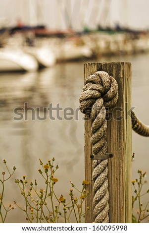 A rope going through a wooden post with  a knot tied in it. Yellow wildflowers are growing around the post. Focus is on the rope and post and the boats in the background are out of focus.
