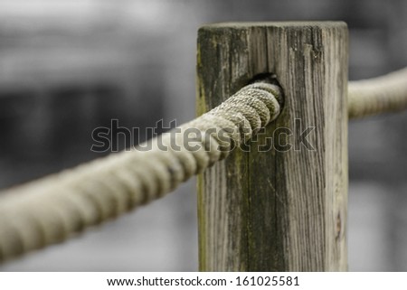 Photo of a wooden post with a rope going through it. The rope and post are in color while the rest of the photo is turned Black & White.
