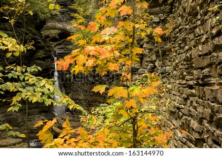 Watkins Glen waterfalls in New York during fall. A beautiful 1.75 mile long gorge with dozens of waterfalls along a stone trail.