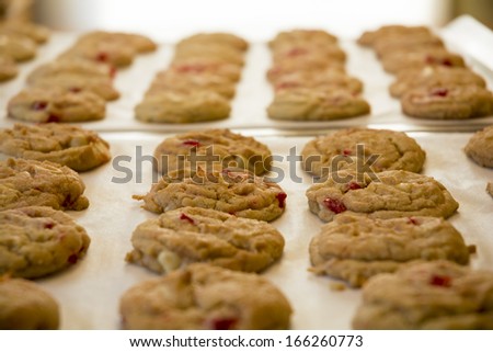 Photo of a batch of fresh baked cookies. They have white chocolate chips with maraschino cherries mixed in.