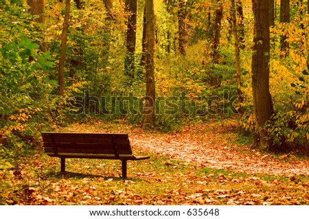 A park bench on a trail invites you to take  a moment to enjoy your surroundings. Just the start of the fall color change.