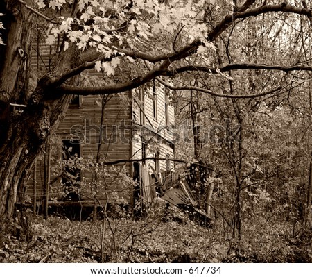 An old abandoned house with an old oak tree standing nearby. Makes for a great haunted house image for Halloween.