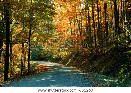 A rural road winding through the woods in autumn. Taken in the Hocking Hills region of Ohio.