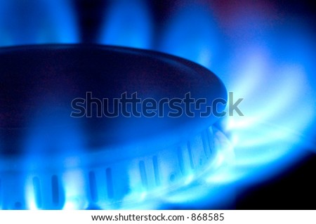 Close-up of a natural gas flame on a stove top.
