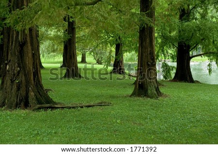 extinct  trees
