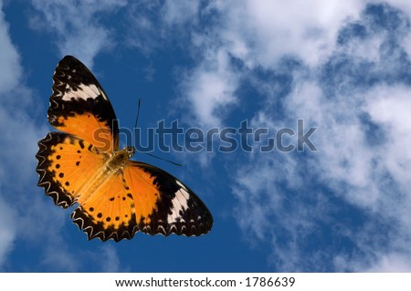 ... colorful butterfly flying off into a puffy white cl