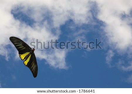 Black And White Clouds Background. stock photo : Beautiful lack