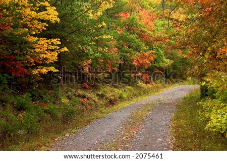 Beautiful peak fall colors in October along a quiet country road.  A good mix of hardwood trees provides a very stunning and colorful pallet of autumn colors.