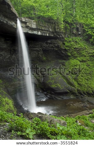 Carpenter Falls in Central New York State. This punch bowl type waterfall is set in a wooded area and is surrounded by the green leaves of spring. Just one of many waterfall photos in my gallery.