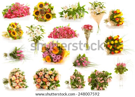 set bouquet of flowers on a white background isolated