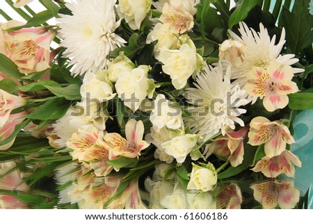 bouquet flowers on a white background, is isolated.