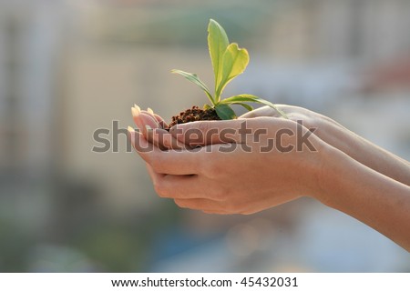 Woman holding a plant over city buildings, Thailand.