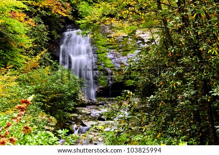 Waterfall and fall leaves in the Great Smoky Mountain National Park