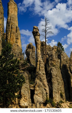 Cathedral Spires at Custer State Park South Dakota